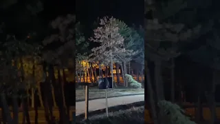 شبا همش به می خونه میرم من 