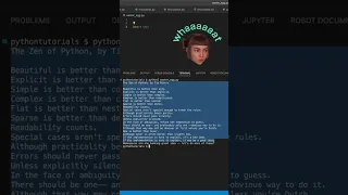 Python Easter Eggs-plored Unlocking the Secrets of import this