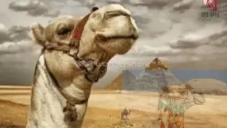 مكرم المنياوى موال الصحة والمرض دندنها