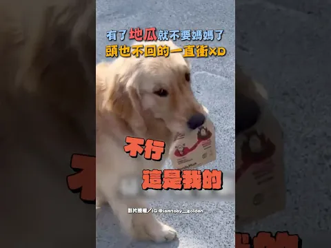 有了「地瓜」就不要媽媽了頭也不回的一直走 #shorts @ChinaTimes
