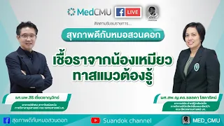 เชื้อราแมวที่ติดจากน้องเหมียวมีความรุนแรงแค่ไหน และสามารถทำให้คนตายได้หรือไม่