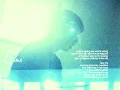 Flawed Mangoes - mk4 (Visualizer)