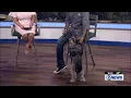Pet Adoption Wednesday