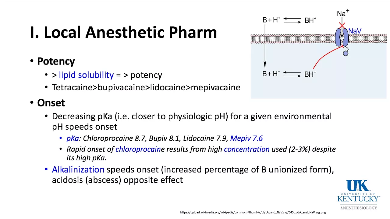 University of Kentucky Anesthesiology Pharmacology Keyword Review 2018 Part 1 of 3 - (Dr. Schell)