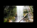 Dariya - Vismay Patel [ Full Song With Nature ]