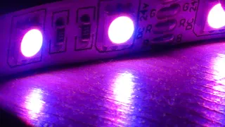 freaks like to move it x calabria mixed 