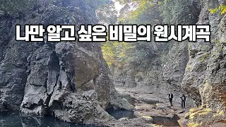 나만 알고 싶은 비밀의 원시계곡 | 제주 한달살이 | 제주 가볼만한 곳 | 안덕계곡(창고천계곡) 썸네일
