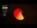 KAMAUU - MANGO (Louis Futon & Robotaki Remix) [feat. Adi Oasis & Masego]