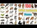 Download Lagu Wild Animals Vocabulary ll 150 Wild Animals Names In English With Pictures ll Jungle Animals Name