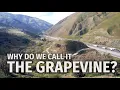 Why do we call it The Grapevine - California History