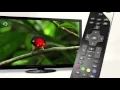 Download Lagu D4A how to - TV gids