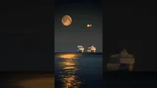 زين كواني كواني مشا وخلاااني    دندنها
