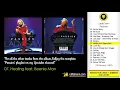 Lady Saw - Healing feat. Beenie Man (Lady Saw - Passion FULL ALBUM, VP Records, 1997)