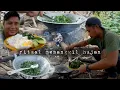 Download Lagu Menu makan sederhana masak pakai kayu bakar di tengah kebun warta petani muda hidup di hutan