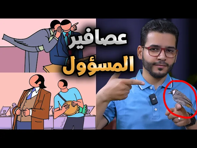 ⁣عصافير المسؤول🐤🐤 #اللواگه_لا_دين_لها