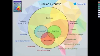 Executive Function Assessment BRIEF-2
