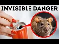 Is Your Home Really Safe Everyday Things With Hidden Risks