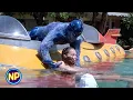 Crash Landing In the Pool Earth Girls Are Easy
