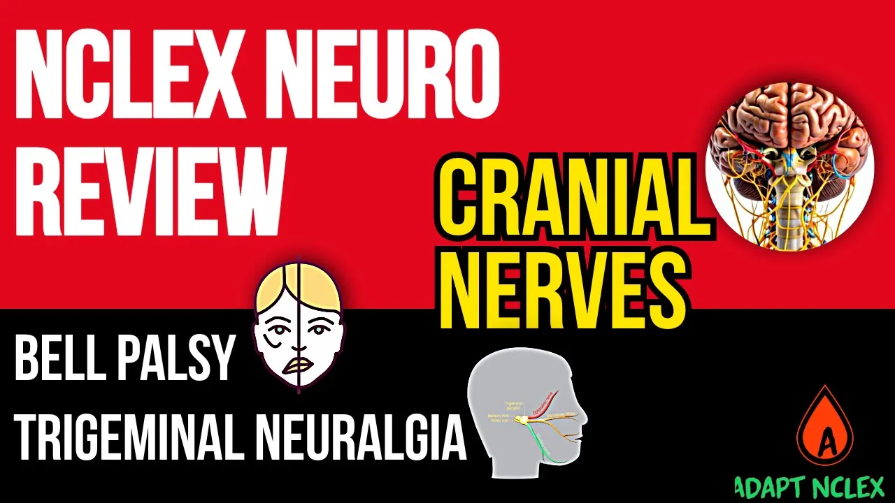 NCLEX Neuro Review: Cranial Nerves, Bell Palsy & Trigeminal Neuralgia in Nursing