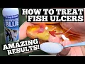 GOLDFISH ULCER TREATMENT - Salt Bath Methylene Blue
