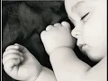 Lamb - Angelica