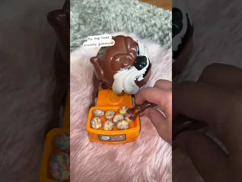 My dog really watching itβs crunchy gummy. Does not like to sharing π€ͺ#shorts #funny #funnyvideo