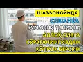 Lagu Сешанба куни Пайғамбар Муҳаммад дуоси, инша Аллох, омонлик, бойлик ва муваффақият келтиради.Омин🤲🏻✨