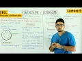 Peroxisomes and glyoxisomes structure and function 9