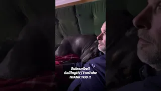 Just relaxing with Baby V . #fyp #vlog #doberman #dream