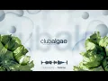 Felimos @ Club Algae - 07.25.25