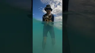 Follow Sailing Bye Felicia For Sailing & SCUBA adventures #yorkie #puppy #sailingbyefelicia