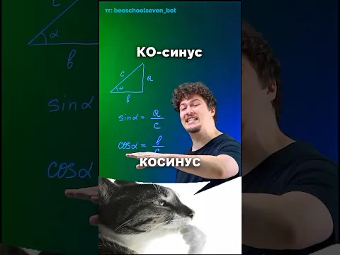Почему «косинус» вообще так называется? 🤔