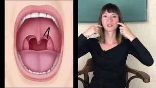 Download How to Improve the Swallow Reflex MP3