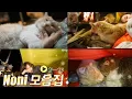 Download Lagu Surviving the Autumn Storm (Subtitle: Sleeping Bag with a cat) + Wood stove / Cat / Extreme Camping