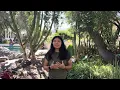 SDSU Application