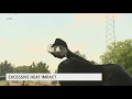 Florida breaks records for sea surface and air temperatures high temps around the country