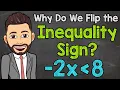 Why Do We Flip the Inequality Sign When Multiplying or Dividing by a Negative Math with Mr J