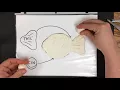 Model Magic Fish