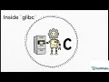 What REALLY Happens When You Call malloc Linux Memory Explained