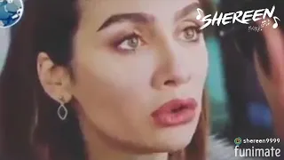 أنساك لا ياحبيبي 