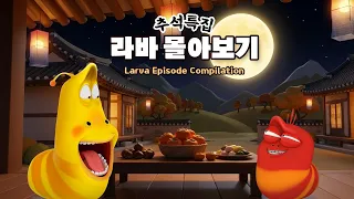 Larva Episode Compilation  | 추석특집 라바 몰아보기 | Animation Compilation | Larva Tuba | Official