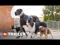 Strays Red Band Trailer 2023
