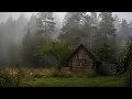 where peace feels like being alone