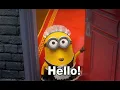 Oh Hello GIF