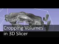 Cropping Volumes in 3D Slicer Introduction to Digital Preparation 10