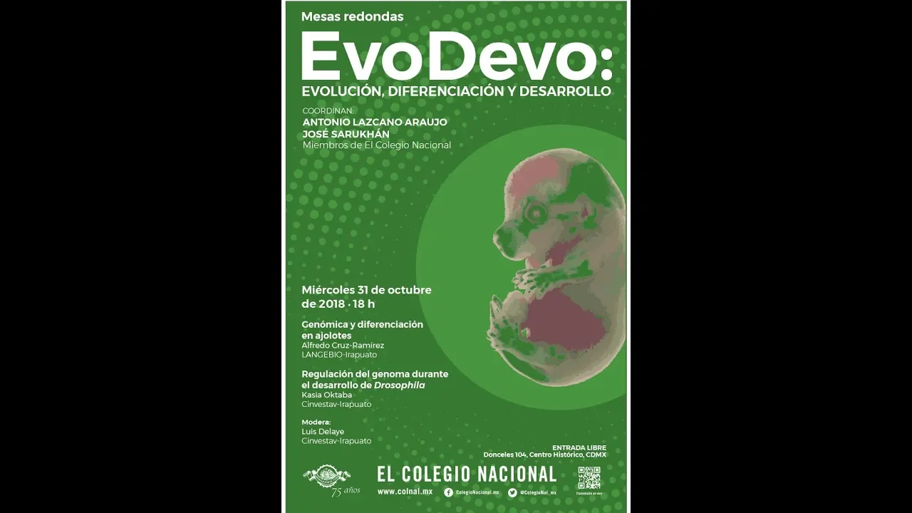 EVO / DEVO: Evolución, Diferenciación y desarrollo. Mesas redondas