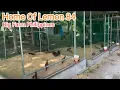 Rayboy Guinit Outdoor Breeding Pens Home of The Lemon 84 - Big Farm Philippines