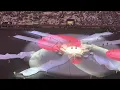 Download Lagu CLAUSURA FIFA WORLD CUP QATAR 2022  🇶🇦 FULL SHOW