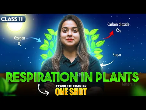 Respiration in Plants - Class 11 NCERT Biology Full Chapter Explanation by Manushree Maam - Biology video for Grade 11