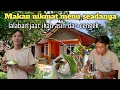 Download Lagu Suasana di pedesaan yang sejuk|Menu Makan seadanya sama lalaban jaat nikmat #pedesaan #kampung #alam